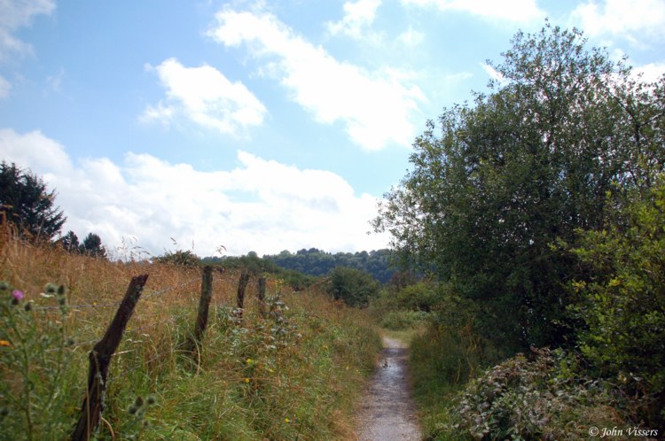 103.jpg 
750 x 498 compressed image 
(104,916 bytes)