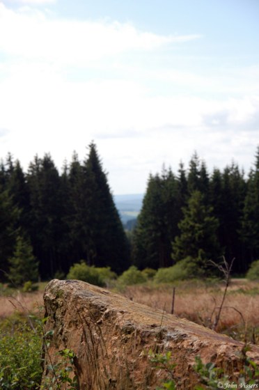 109.jpg 
372 x 560 compressed image 
(39,308 bytes)