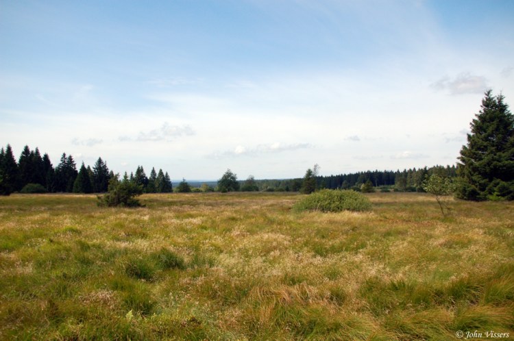 110.jpg 
750 x 498 compressed image 
(81,894 bytes)