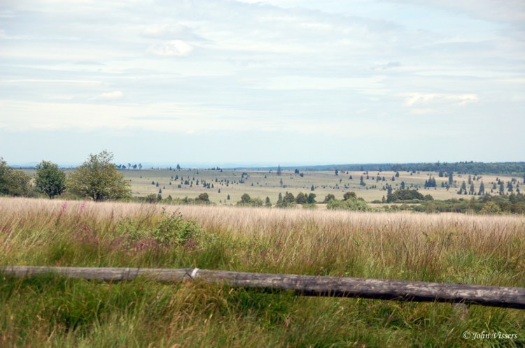 115.jpg 
750 x 498 compressed image 
(81,687 bytes)