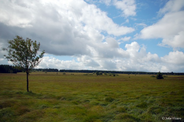 130.jpg 
750 x 498 compressed image 
(69,124 bytes)