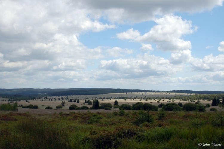 135.jpg 
750 x 498 compressed image 
(64,115 bytes)