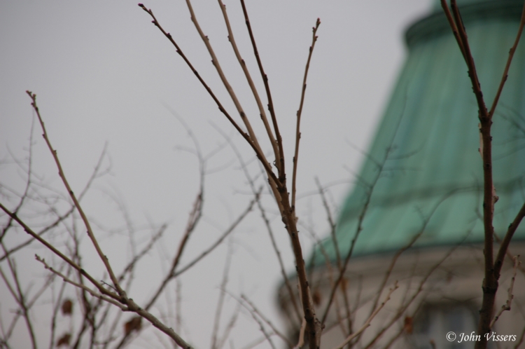 170.jpg 
750 x 498 JPEG-compressed image 
(187,747 bytes)