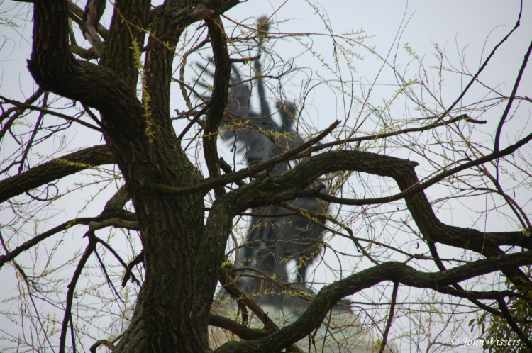175.jpg 
750 x 498 JPEG-compressed image 
(385,927 bytes)