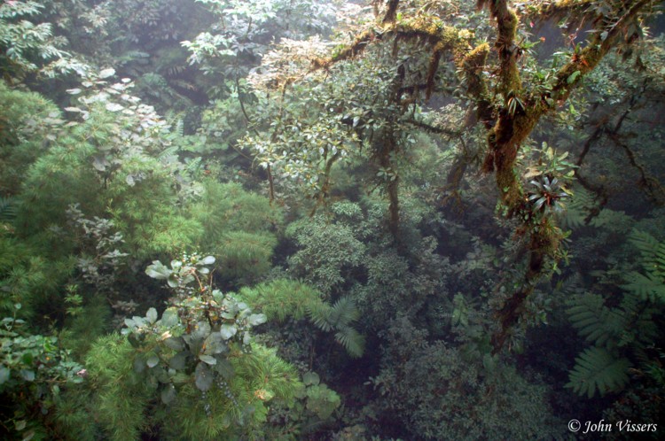 temp017.jpg 
750 x 498 compressed image 
(140,194 bytes)