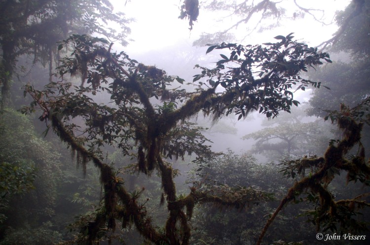 temp019.jpg 
750 x 498 compressed image 
(114,185 bytes)