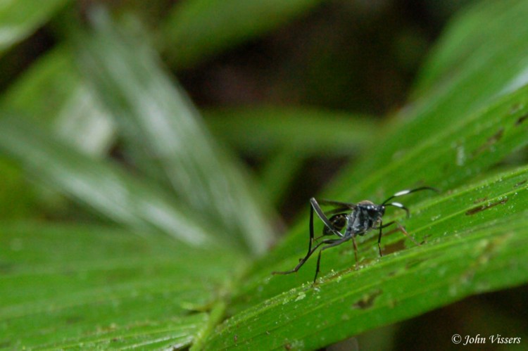 temp021.jpg 
750 x 499 compressed image 
(63,021 bytes)