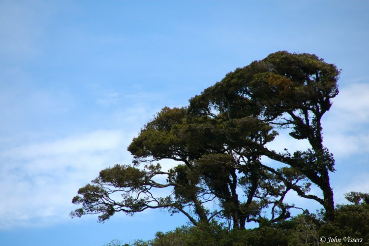 temp036.jpg 
750 x 499 compressed image 
(87,148 bytes)