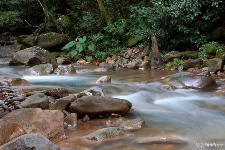 temp066.jpg 
750 x 499 compressed image 
(118,075 bytes)