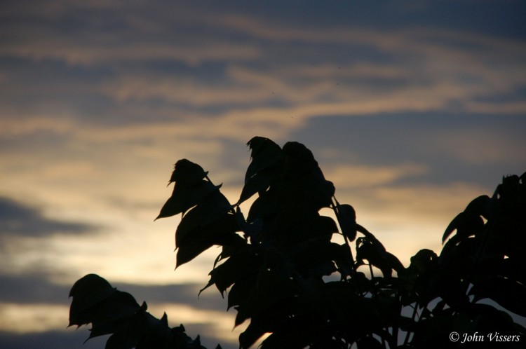 temp087.jpg 
750 x 498 compressed image 
(46,546 bytes)