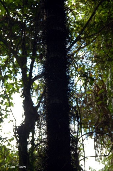temp104.jpg 
372 x 560 compressed image 
(78,929 bytes)