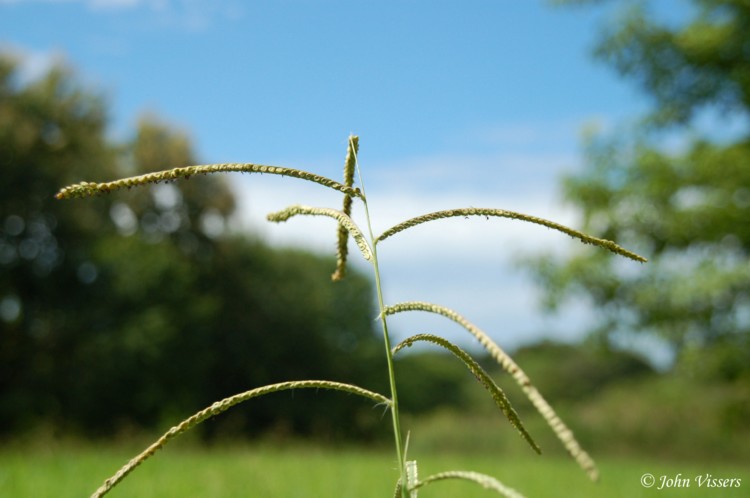 temp123.jpg 
750 x 498 compressed image 
(54,175 bytes)