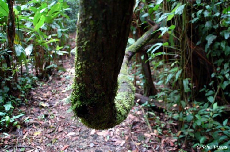 temp128.jpg 
750 x 498 compressed image 
(131,451 bytes)