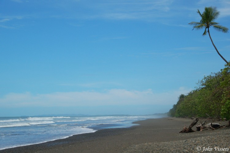 temp130.jpg 
750 x 499 compressed image 
(55,023 bytes)