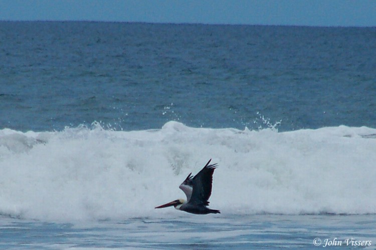 temp134.jpg 
750 x 500 compressed image 
(65,739 bytes)