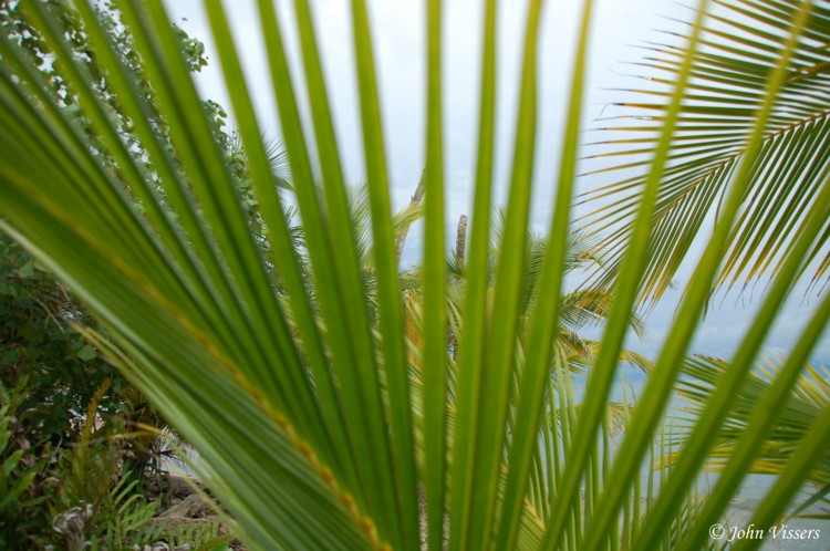 temp170.jpg 
750 x 498 compressed image 
(106,551 bytes)