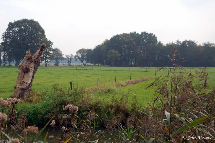 105.jpg 
750 x 500 compressed image 
(91,693 bytes)