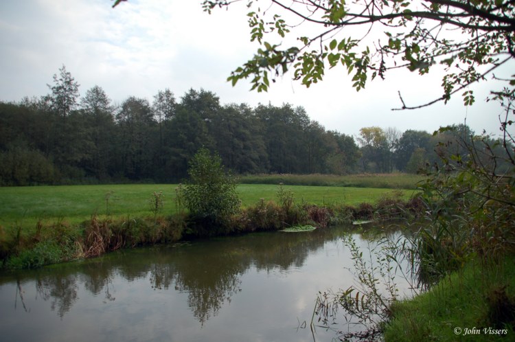 108.jpg 
750 x 498 compressed image 
(96,629 bytes)