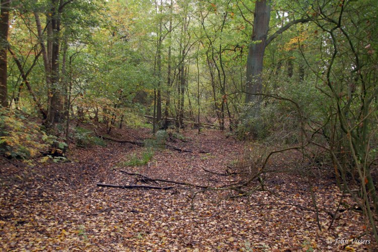 111.jpg 
750 x 500 compressed image 
(168,263 bytes)