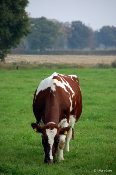 120.jpg 
372 x 560 compressed image 
(45,161 bytes)