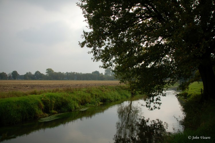 126.jpg 
750 x 498 compressed image 
(91,687 bytes)