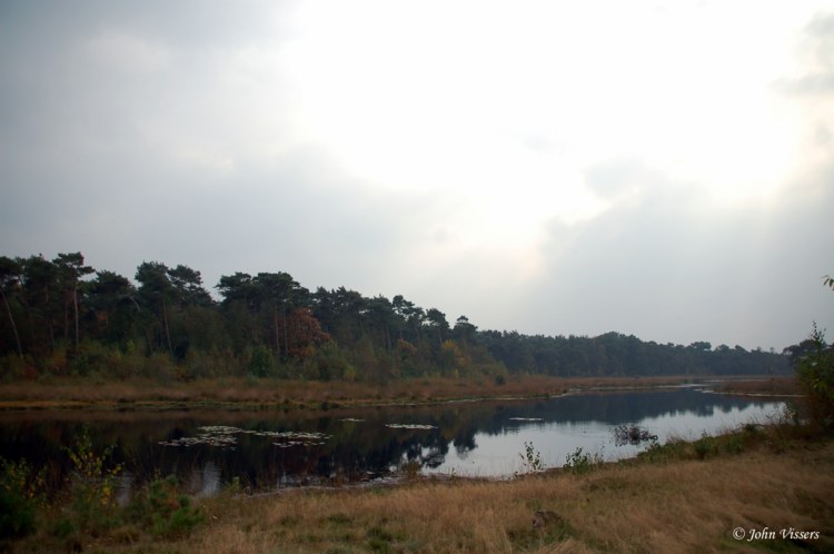 127.jpg 
750 x 498 compressed image 
(47,637 bytes)