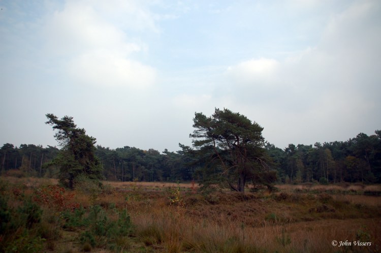 130.jpg 
750 x 498 compressed image 
(57,066 bytes)