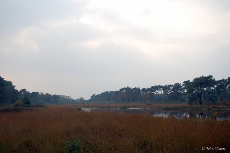 132.jpg 
750 x 498 compressed image 
(44,381 bytes)