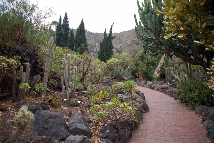 113.jpg 
750 x 500 compressed image 
(131,349 bytes)