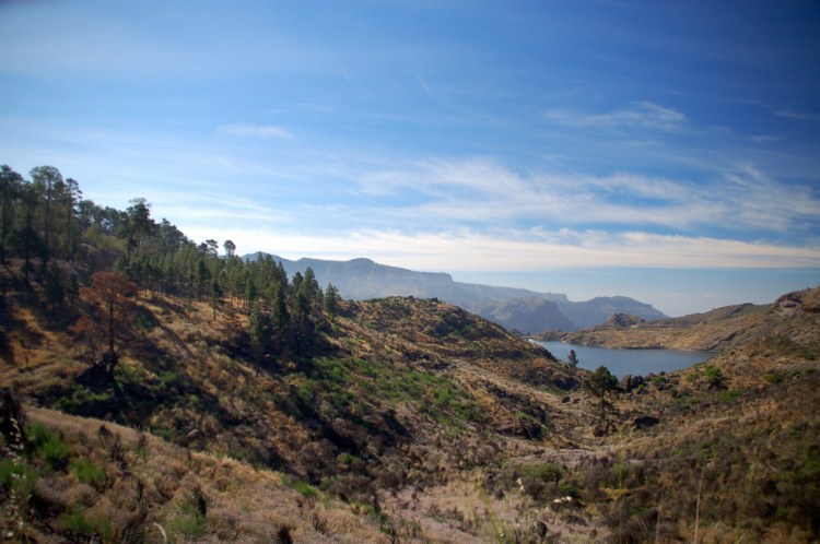 133.jpg 
750 x 498 compressed image 
(80,845 bytes)