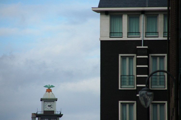 123.jpg 
750 x 500 compressed image 
(45,786 bytes)