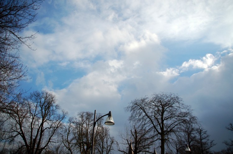126.jpg 
750 x 498 compressed image 
(84,649 bytes)
