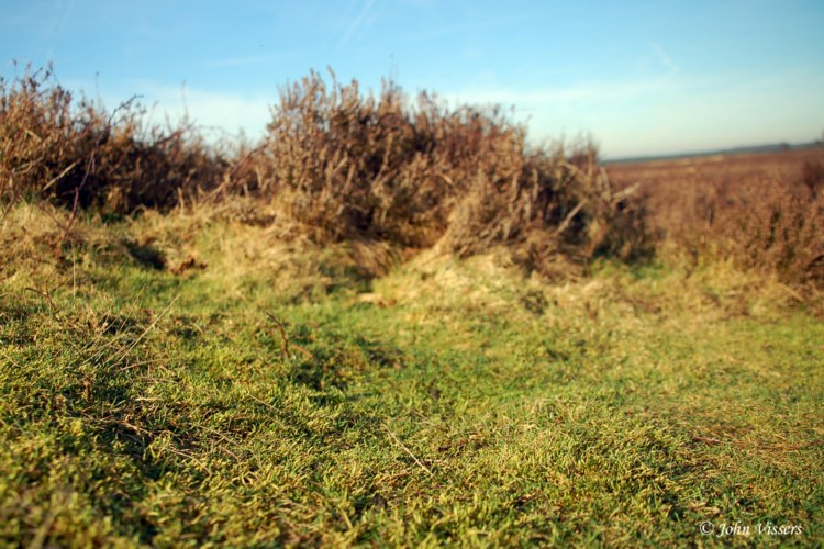 107.jpg 
750 x 500 compressed image 
(123,840 bytes)