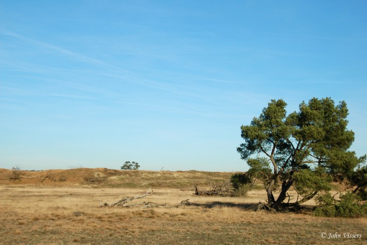 110.jpg 
750 x 500 compressed image 
(68,277 bytes)