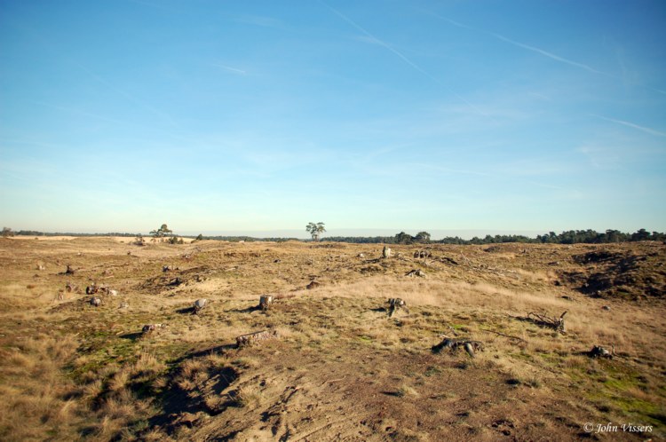 113.jpg 
750 x 498 compressed image 
(88,500 bytes)