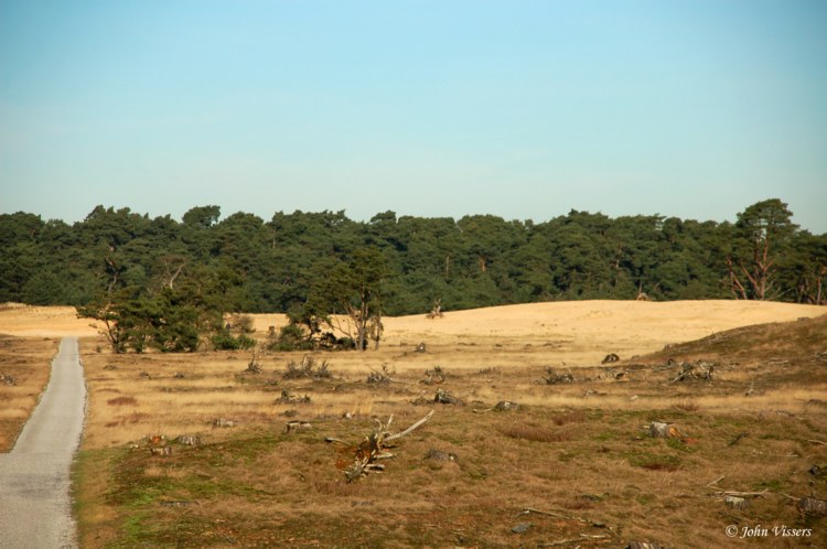 114.jpg 
750 x 498 compressed image 
(80,482 bytes)