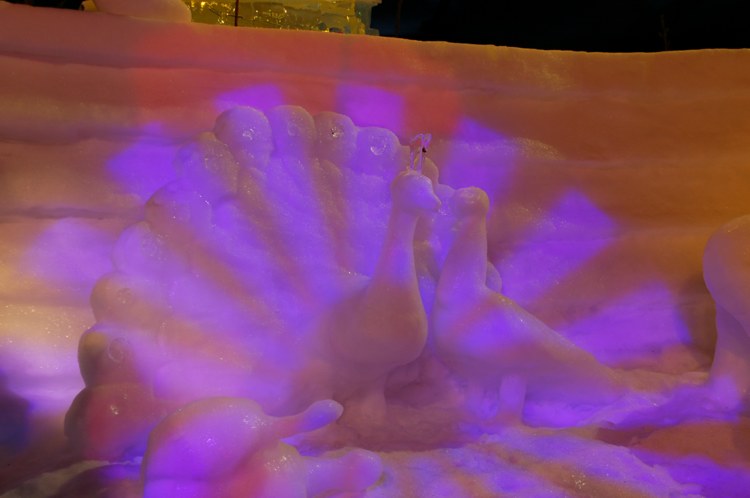105.jpg 
750 x 498 compressed image 
(43,141 bytes)