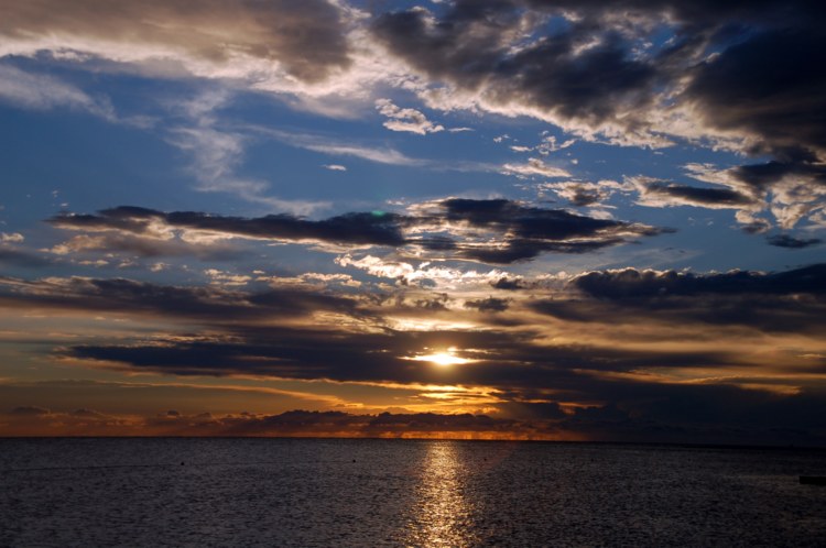 110.jpg 
750 x 498 compressed image 
(76,204 bytes)