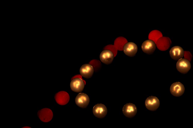 109.jpg 
750 x 500 compressed image 
(19,377 bytes)