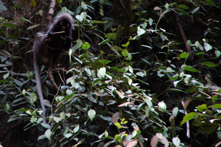 134.jpg 
750 x 499 compressed image 
(118,837 bytes)