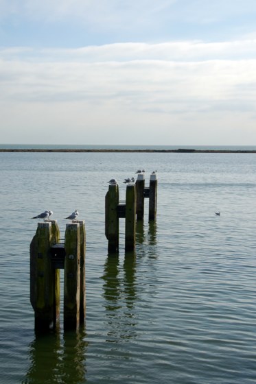 123.jpg 
373 x 560 compressed image 
(39,915 bytes)