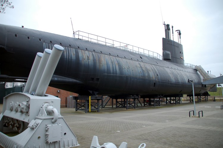 141.jpg 
750 x 498 compressed image 
(67,599 bytes)