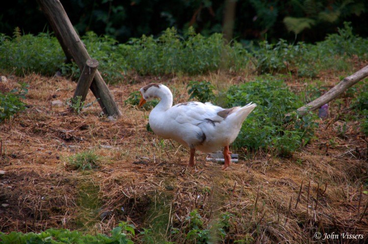 temp04.jpg 
750 x 498 compressed image 
(135,271 bytes)
