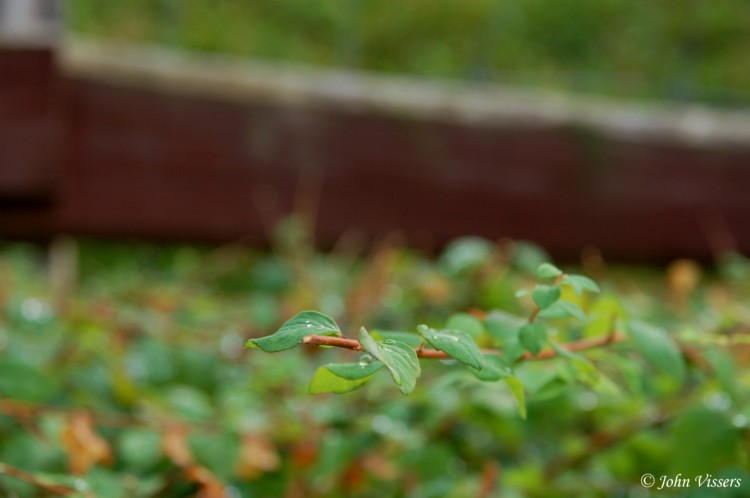 temp08.jpg 
750 x 498 compressed image 
(48,350 bytes)