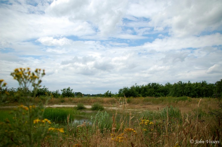 temp13.jpg 
750 x 498 JPEG-compressed image 
(85,804 bytes)