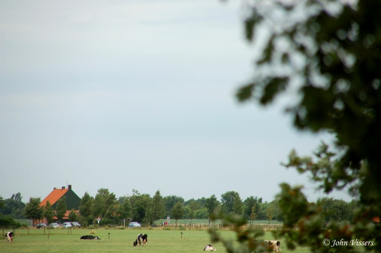 temp14.jpg 
750 x 498 JPEG-compressed image 
(53,936 bytes)