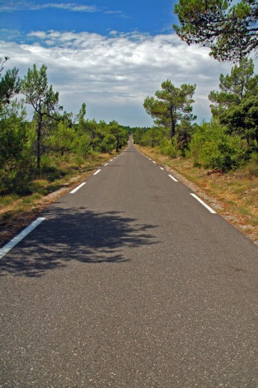 115.jpg 
373 x 560 compressed image 
(69,152 bytes)