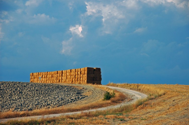 132.jpg 
750 x 498 compressed image 
(83,786 bytes)