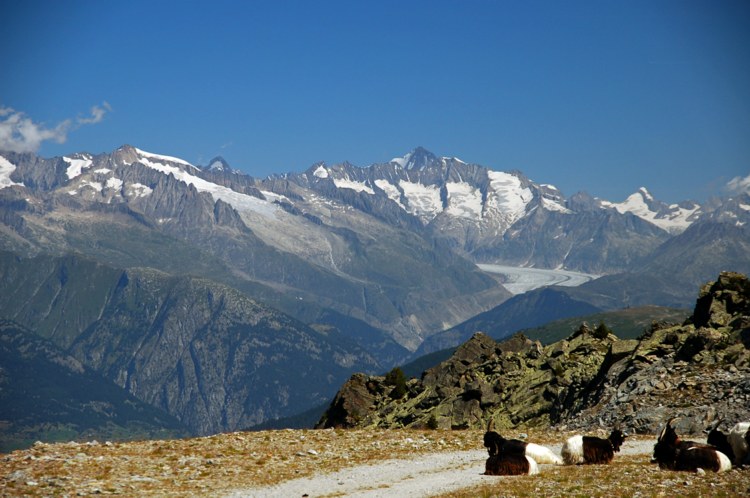 146.jpg 
750 x 498 compressed image 
(91,645 bytes)