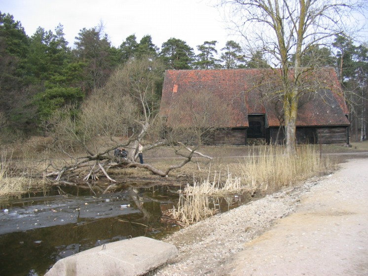 temp09.jpg 
746 x 560 compressed image 
(140,820 bytes)